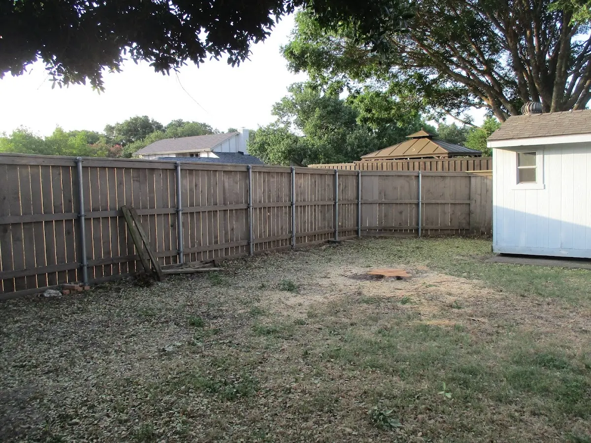Cleared yard after professional tree removal in Greencastle